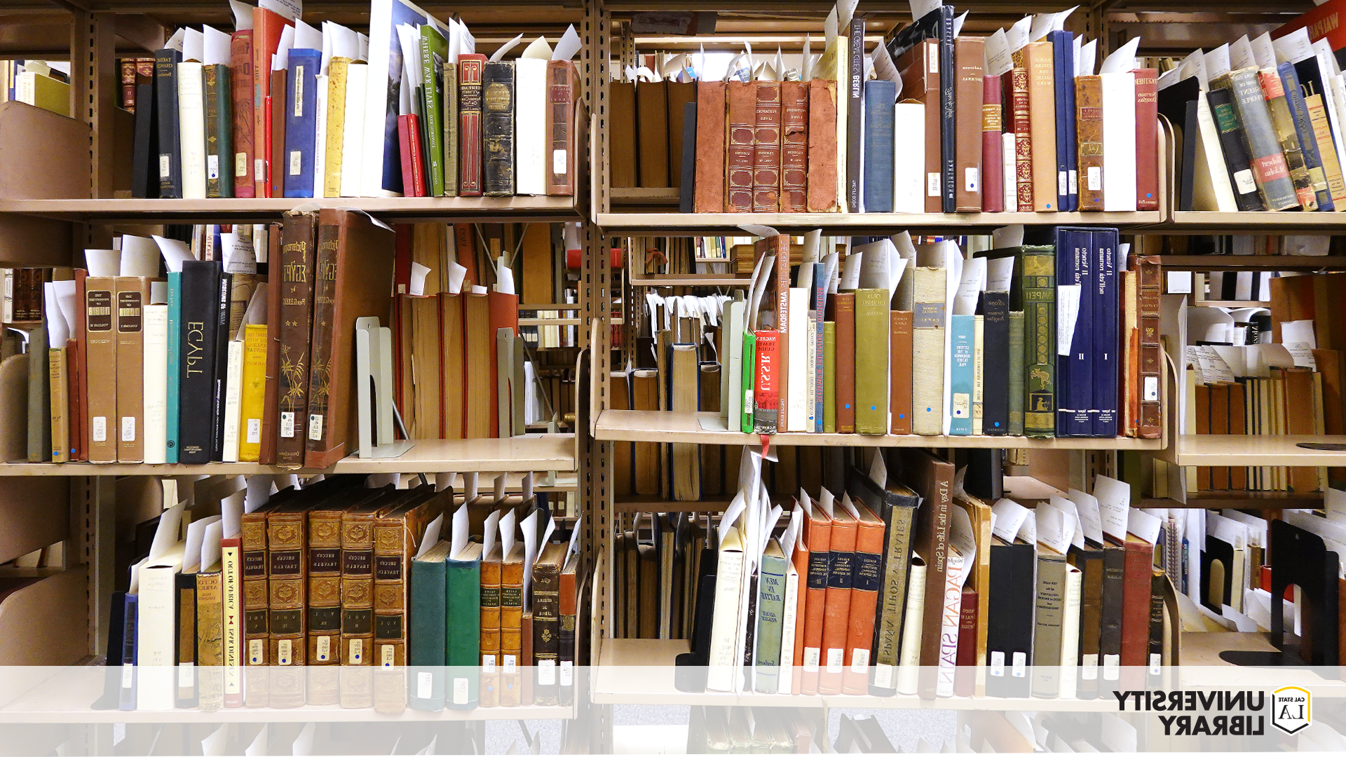 A selection of rare books house in Special Collections & Archives